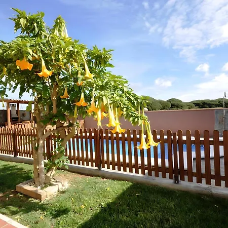 Con Piscina Privada Solo Familias Conil De La Frontera